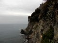 DSCN3517