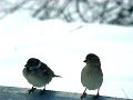 DSC00714