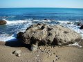 DSC02053