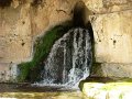 DSC02207