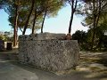 DSC02230