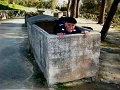 DSC02239