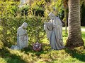 DSC02317