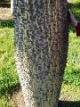 DSC02319