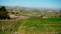 DSC02462