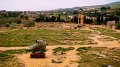 DSC02520