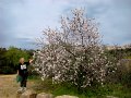 DSC02531