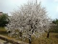 DSC02565