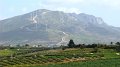 DSC02601