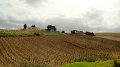 DSC02624