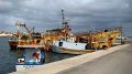 DSC02651