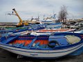 DSCN3879