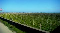 DSC02900