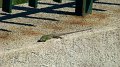 DSC02901