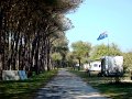 DSC02927