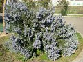 DSC02962