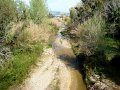 DSC03311