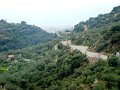 DSC03433