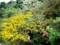DSC03442