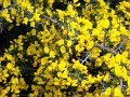 DSC03443