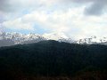 DSC03528