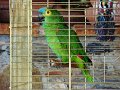DSC03675
