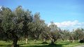 DSC03679
