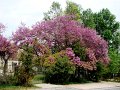 DSC04069