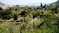 DSC04181