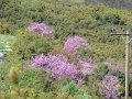 DSC04331