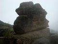 DSC04453