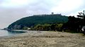 DSC04596