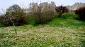 DSC04601