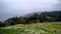 DSC04602