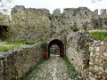 DSC04610