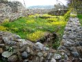 DSC04619