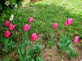 DSC04876