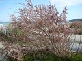 DSC04943