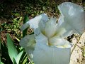DSC05086