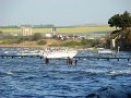 DSC05096