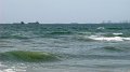 DSC05133