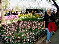 DSC05266