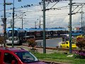 DSC05272