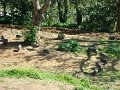 DSC05336