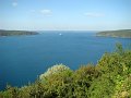 DSC05343