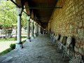 DSC05416
