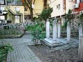 DSC05504