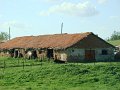 DSC05547