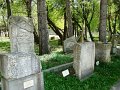 DSC05598
