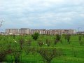 DSC05649